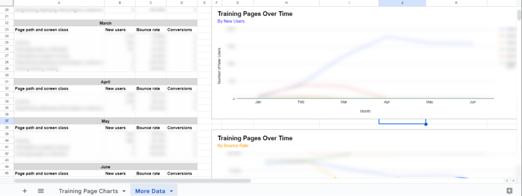 Training Page Report